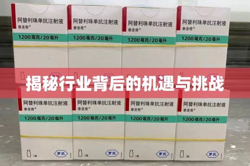 宿迁揭秘行业背后的机遇与挑战