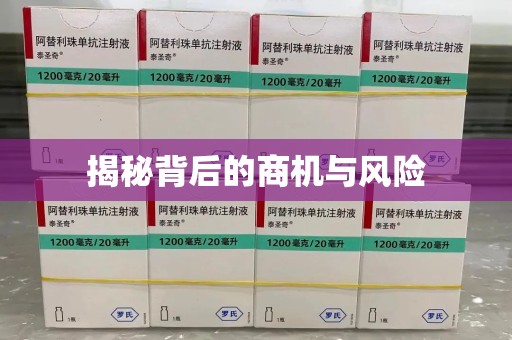 宿迁揭秘背后的商机与风险