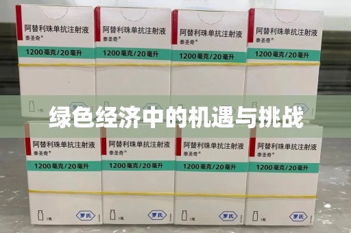 宿迁绿色经济中的机遇与挑战