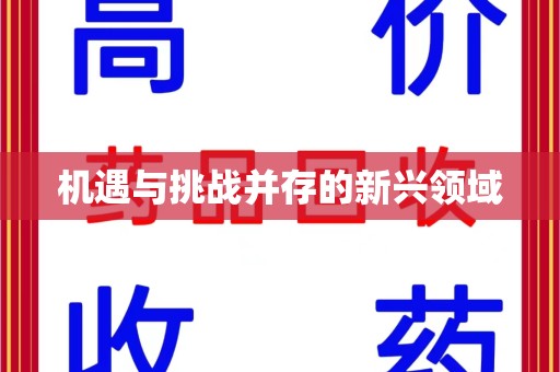 宿迁机遇与挑战并存的新兴领域