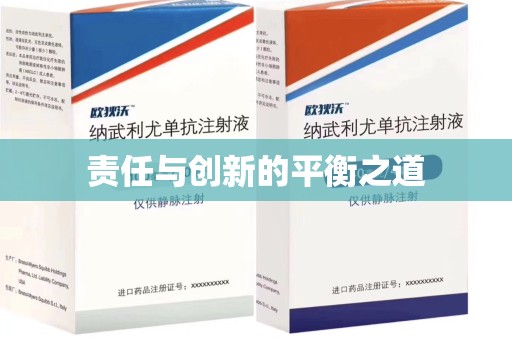 宿迁责任与创新的平衡之道