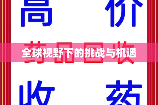 宿迁全球视野下的挑战与机遇