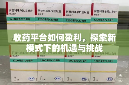 宿迁收药平台如何盈利，探索新模式下的机遇与挑战