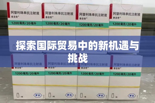 宿迁探索国际贸易中的新机遇与挑战