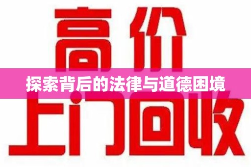 宿迁探索背后的法律与道德困境